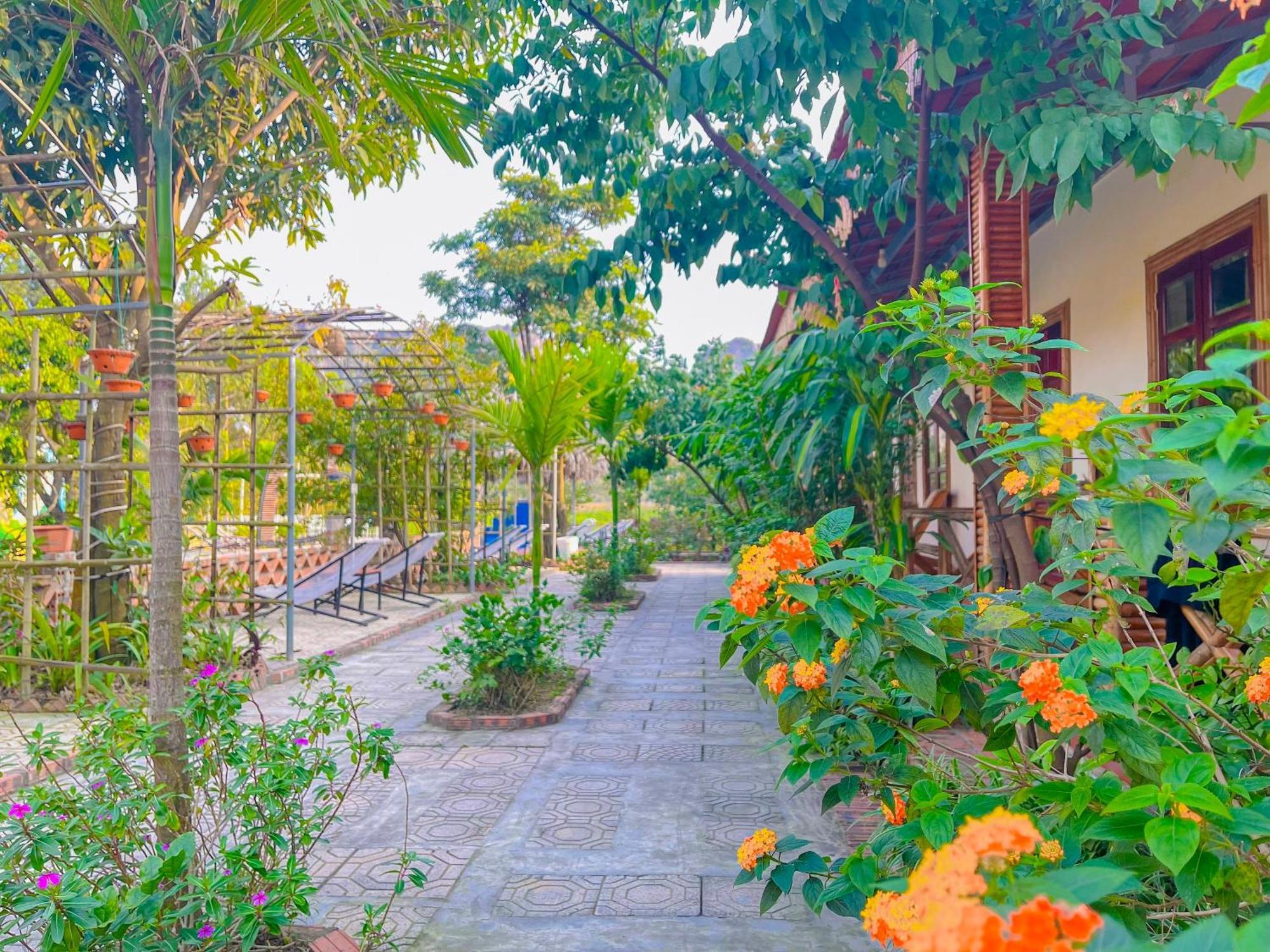 Quynh Trang Happy Homestay Ninh Bình Ngoại thất bức ảnh