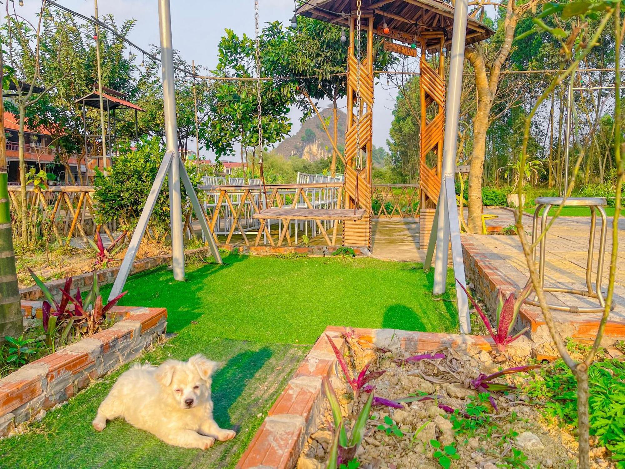 Quynh Trang Happy Homestay Ninh Bình Ngoại thất bức ảnh