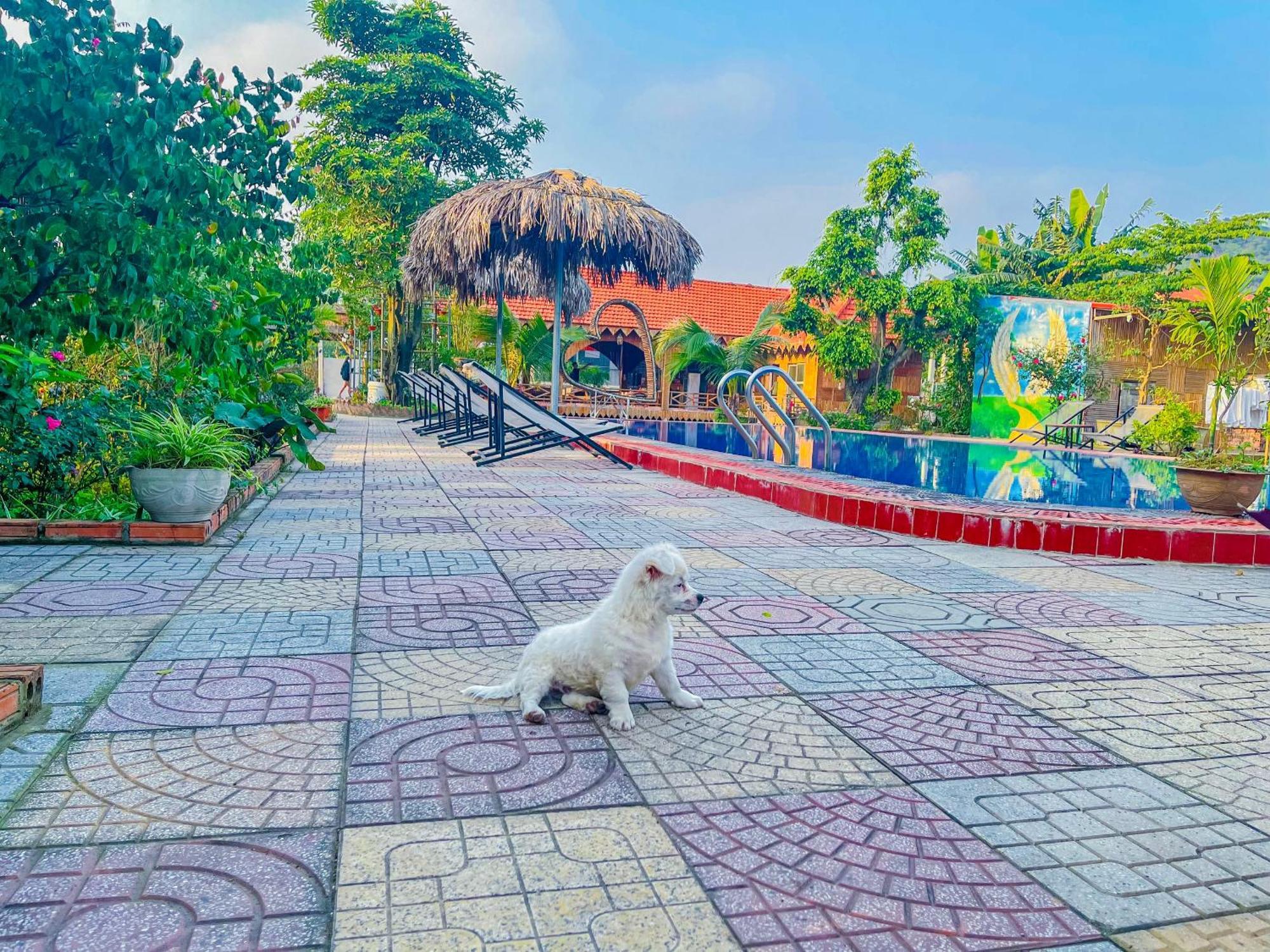 Quynh Trang Happy Homestay Ninh Bình Ngoại thất bức ảnh