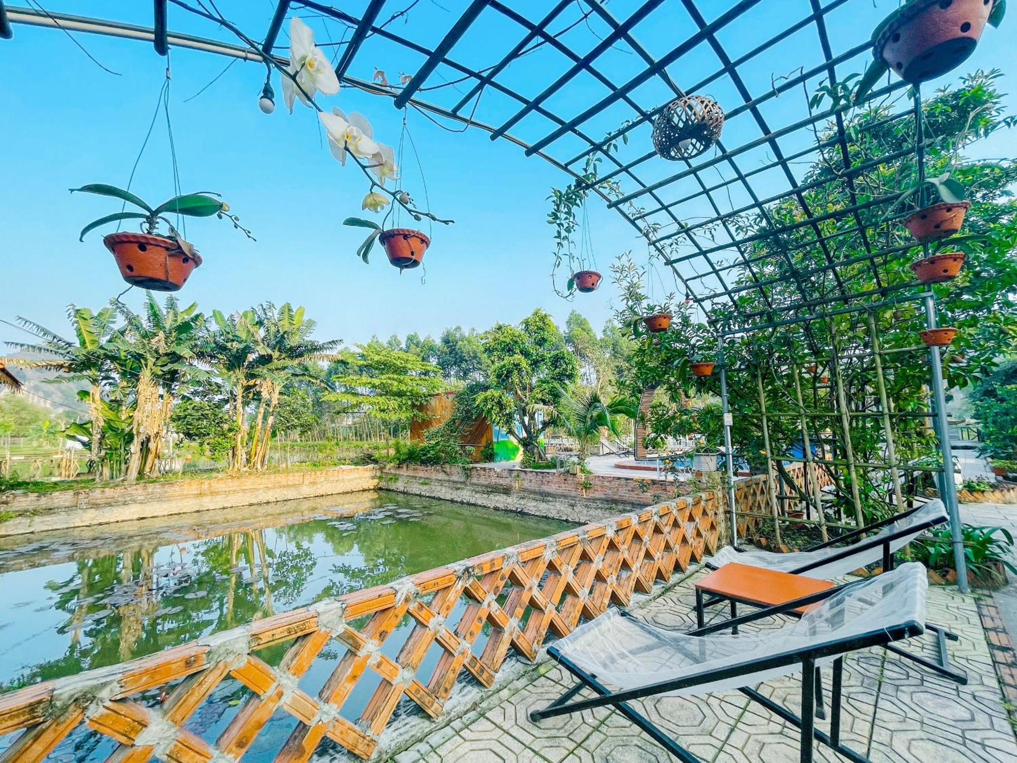 Quynh Trang Happy Homestay Ninh Bình Ngoại thất bức ảnh
